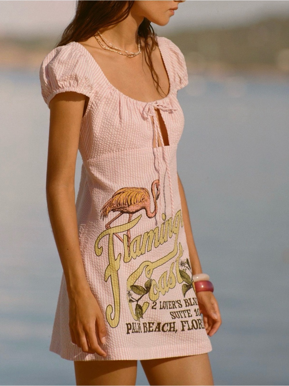 NWT Celadine Pink Seersucker Mini Cover UP with Flamingo Graphic